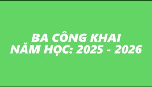 3 CÔNG KHAI NĂM HỌC 2025 - 2026